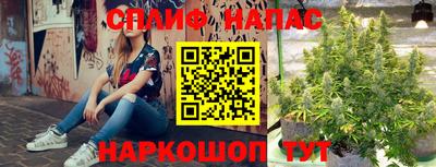 круглые Камышлов