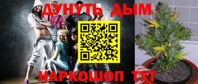круглые Камышлов