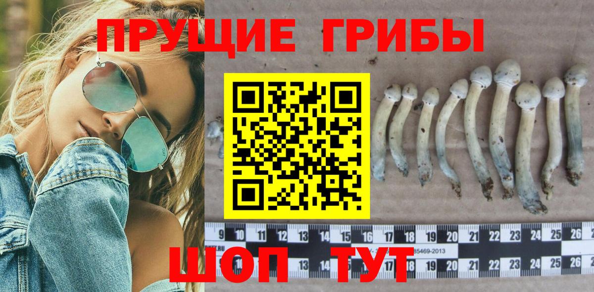 Галлюциногенные грибы Cubensis  Галлюциногенные грибы MAGIC MUSHROOMS  Вход с VPN  Курган 